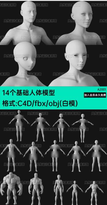 14个FBX/OBJ基础人体3D模型｜男女角色+C4D/Blender二次元动漫ZBrush素材
