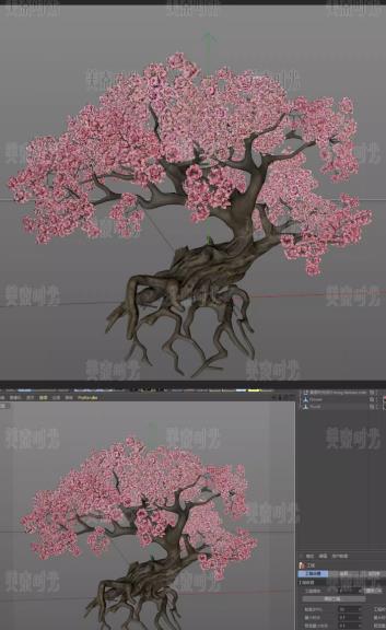 C4D古风樱花树模型：老树大树Blender素材FBX OBJ 3D格式