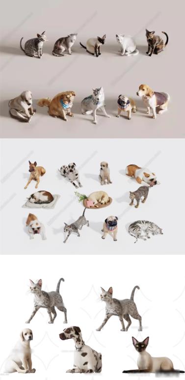 6套Blender宠物狗猫咪3D模型 – 金毛犬Rhino犀牛C4D/SU/3Dmax/FBX/OBJ/MAYA格式