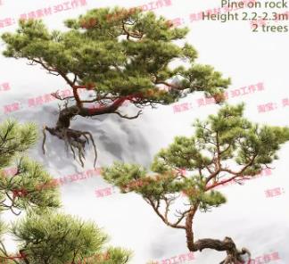 松柏松树迎客松盆景树根3D模型（C4D、FBX、OBJ、3DMax素材）