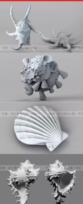 5款海洋生物3D模型素材包 – 贝壳/海星/海螺/扇贝水产C4D模型（含OBJ/FBX格式）