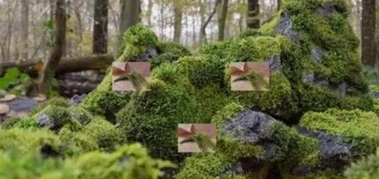 80组苔藓植物3D模型包 – 青苔石头C4D/FBX/OBJ/Blend格式下载