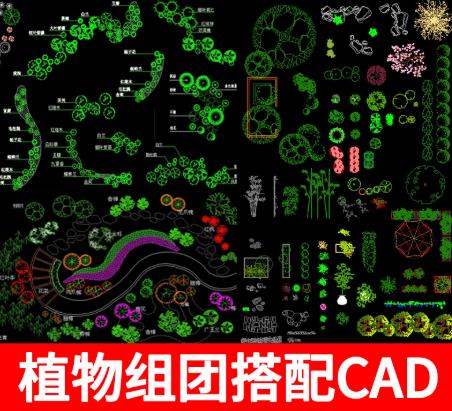 20M园林景观植物配置CAD图集：四季花境/组团搭配/绿化设计平面图（含乔灌草详图）