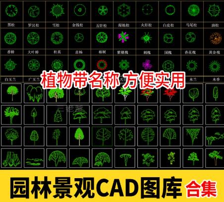 20000款园林景观设计CAD图库全集：植物/人物/铺装/拼花图块与施工图例（平面+立面）